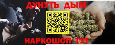 крисы Краснодар