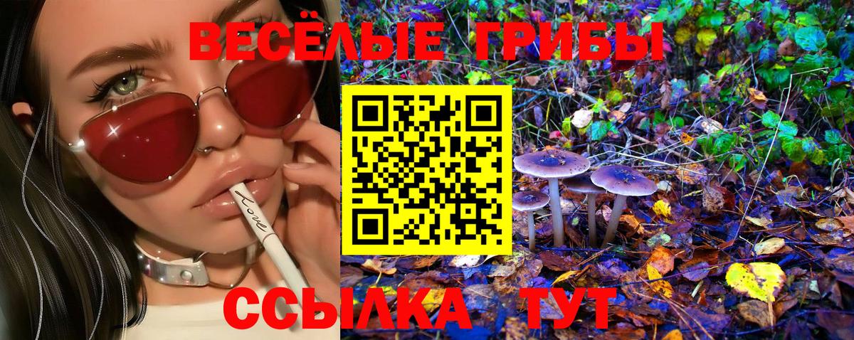 Чебаркуль  Галлюциногенные грибы мицелий  Вход с VPN 